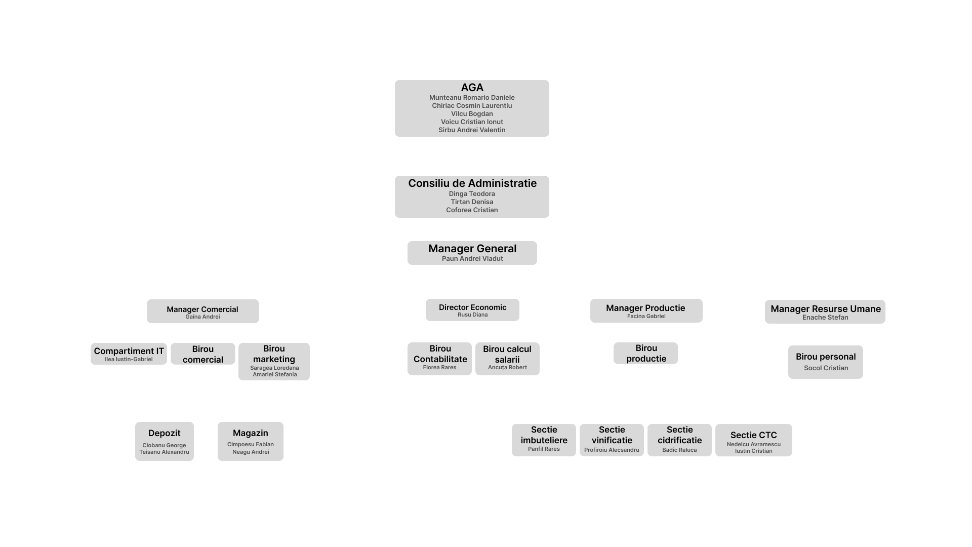 Organigrama Golden Wine